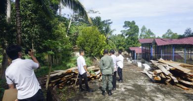 DLH PASBAR: Penebangan Pohon Sengon Di Hutan Kota,Merupakan Program Revitalisasi Dan Penataan Kawasan DLH PASBAR: Penebangan Pohon Sengon Di Hutan Kota,Merupakan Program Revitalisasi Dan Penataan Kawasan