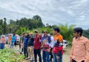 Sekda Pasbar Tinjau Kesiapan Pekan Olah Raga Provinsi Cabang Raga Arum Jeram Dan Grasstrack